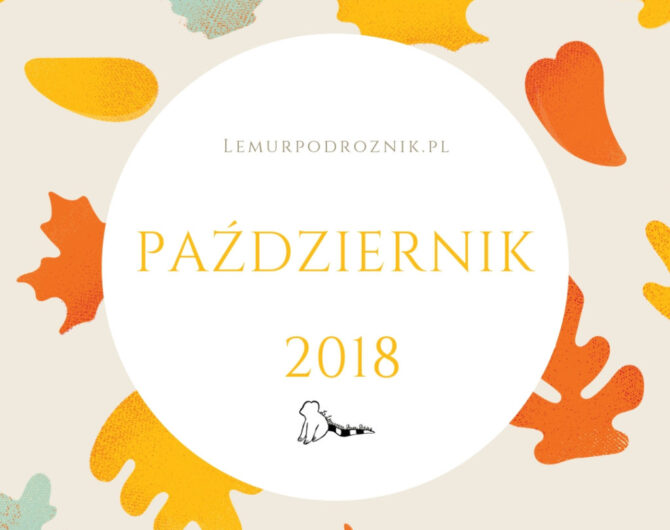 Lemurpodroznik.pl Lemurpodroznik.pl