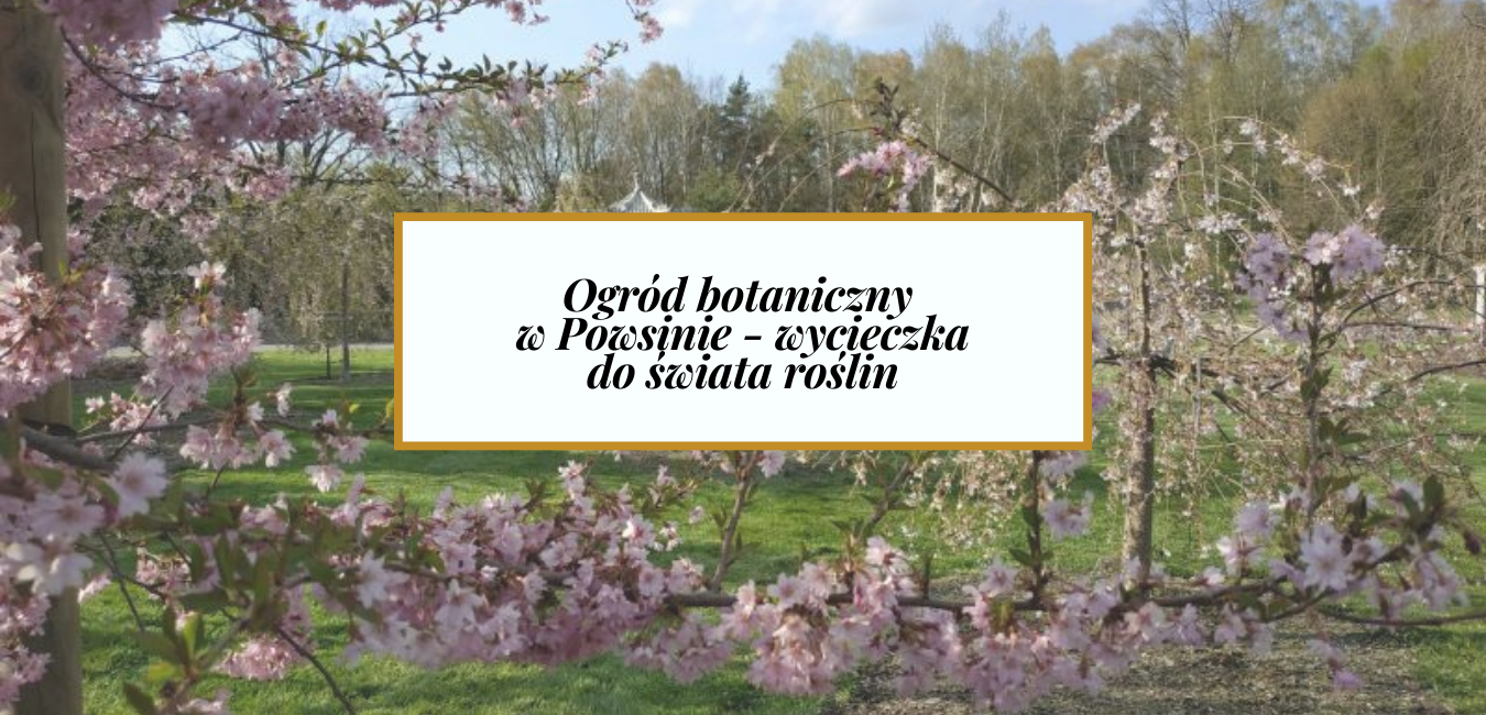 Ogród Botaniczny w Powsinie – wycieczka do świata roślin